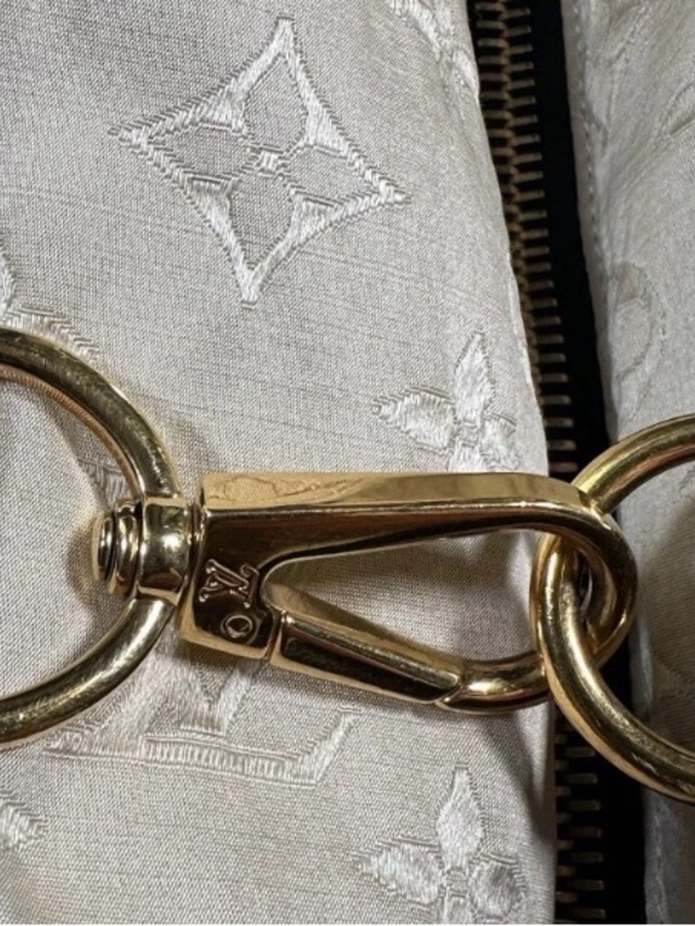 Louis Vuitton monogram goose down bomber jacket - Picture 14 of 16